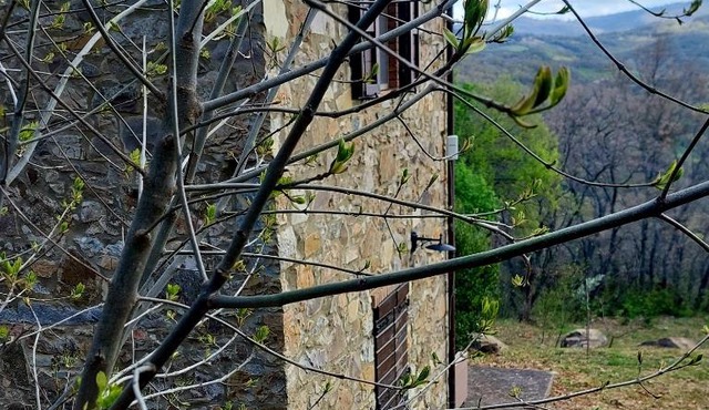 Podere Frassinelli, casa nel bosco