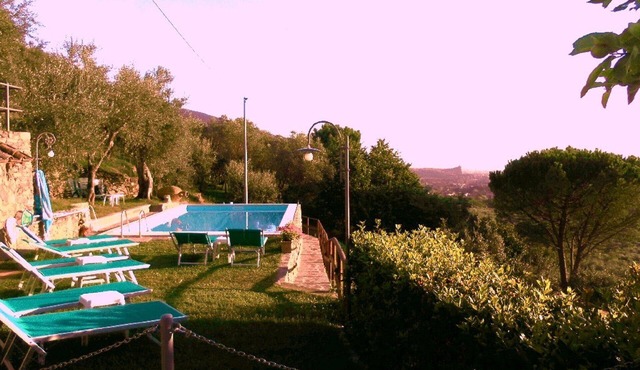 Promotion Typical Tuscan house surrounded by olive trees