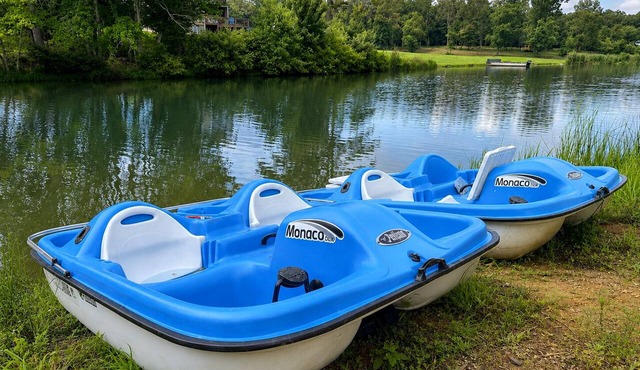 Relax at Eagle’s Landing on the Lake - Hot Tub and Paddle Boat! Veteran Owned!