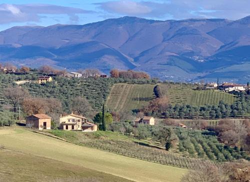 Residenza Marrone