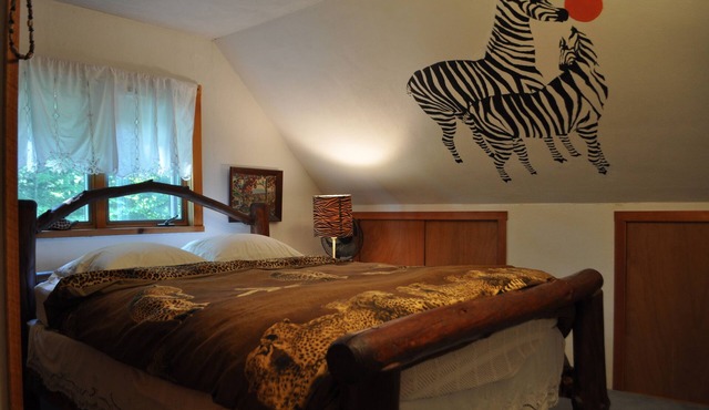 Russian and South African room in cabin surrounded by state forest