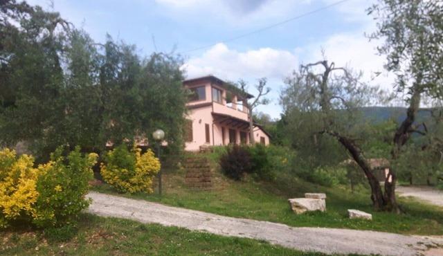 Rustic apartment surrounded by green Umbria with swimming pool