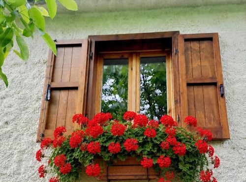 Rustic Italian House