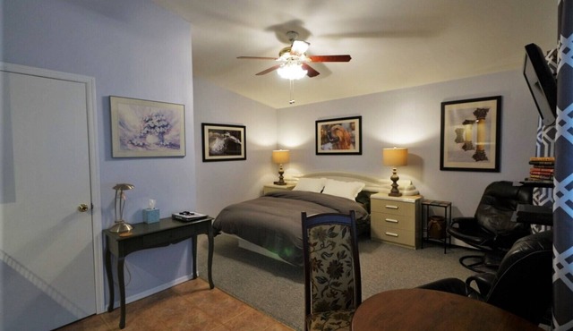 Secluded, Sunny Studio. Fully Private: entrance, bath, bedroom, kitchen & Patio
