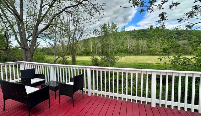 Serene Mountain & Farm Retreat with Deer Views in Apalachin 2 bedrooms apt