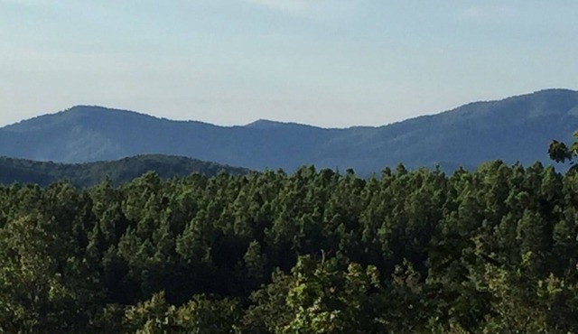 Spacious apt: hot tub, mountain views, stream & pond on peaceful 25 acre estate