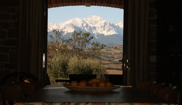 Stunning villa with private pool in peaceful olive grove