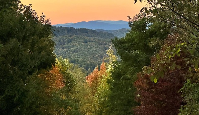 Summit Mountain Cabin near Asheville