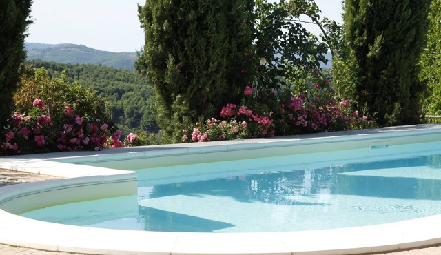Superb villa with period furniture, large rose garden and private swimming pool