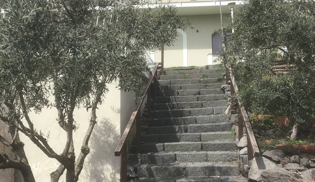 Tenuta Terradifuoco has a restaurant, bar, a shared lounge