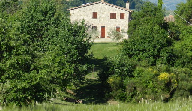THE OLIVE TREE APARTMENT