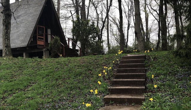THREE SEPARATE CABINS on 128 Acre Forest Park and Nature Reserve