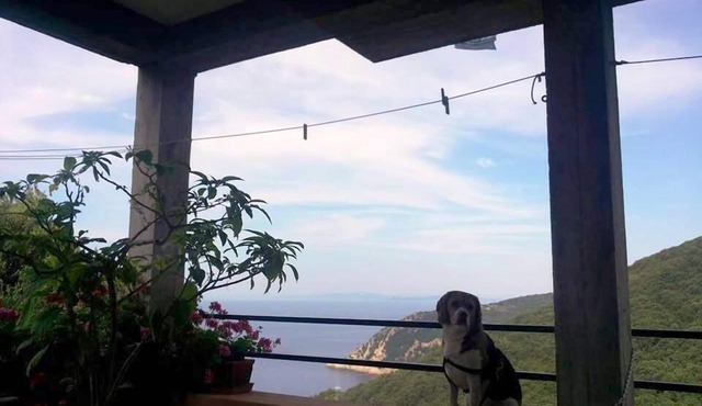 Tranquility and spectacular views