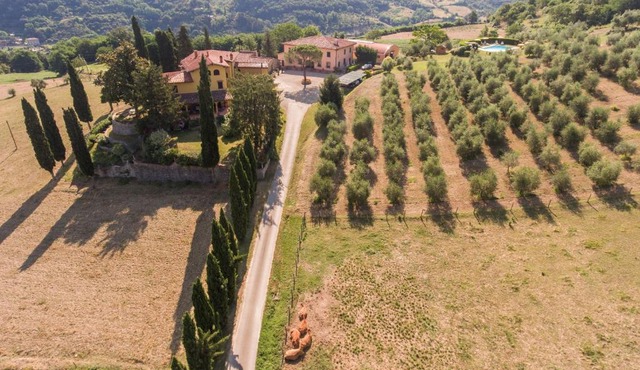 Trebbiolo