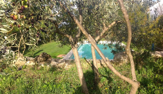 Umbria, Italy - Montecchio near Orvieto and Todi - Cosy Country Home