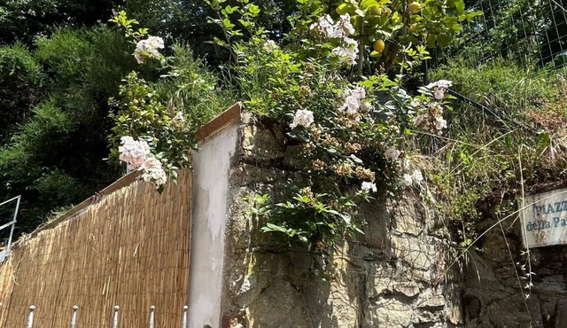 Vacanze toscane relax e privacy