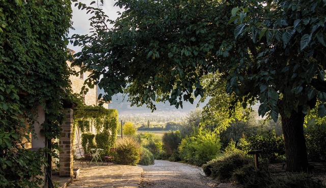 Villa and Pool, your cozy home in the green heart of Umbria