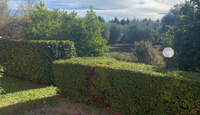 VILLA DEGLI ARCHI - RELAXATION AND PEACE