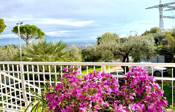 Villa Elisa