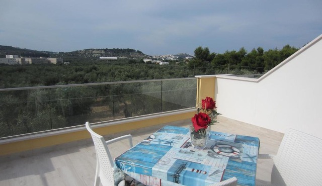 Villa Elisa