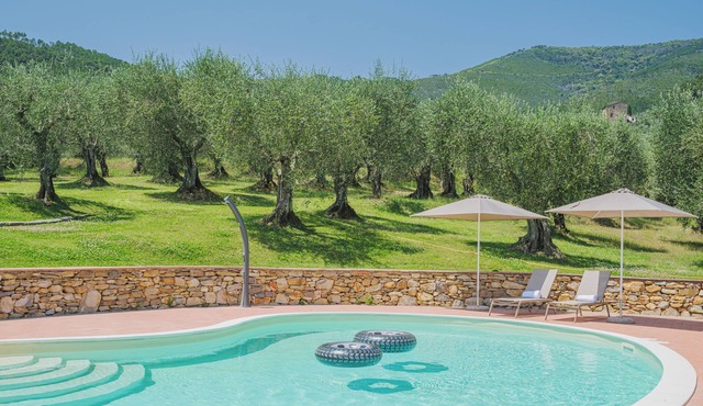 Villa/Independent home in Vicopisano with 2 bedrooms sleeps 5