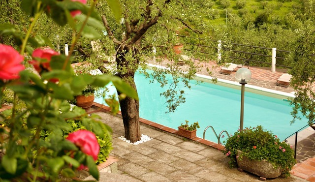 Villa Martinelli, a great value apt. with private salt water Pool, Wi-Fi, and AC