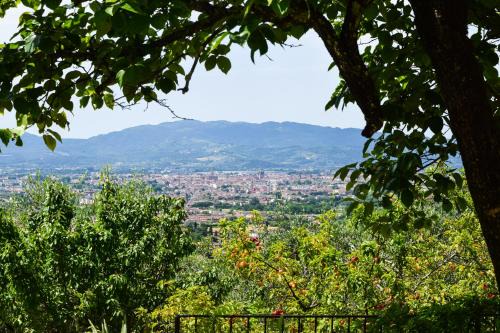 Villa Pacinotti