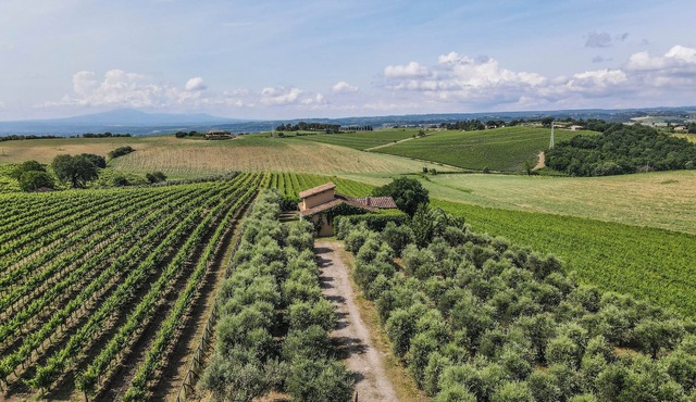 Villa surrounded by vineyards with private pool near Orvieto