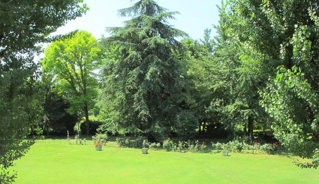 Villa Uva