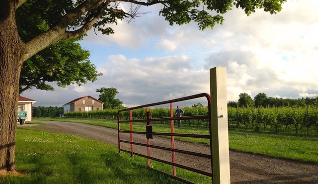 Vineyard Manor House at Freedom Run Winery