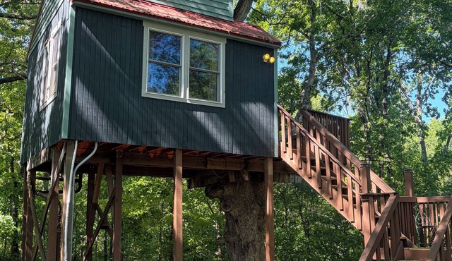 White Oak Tree House by Garden of the Gods in the Shawnee National Forest