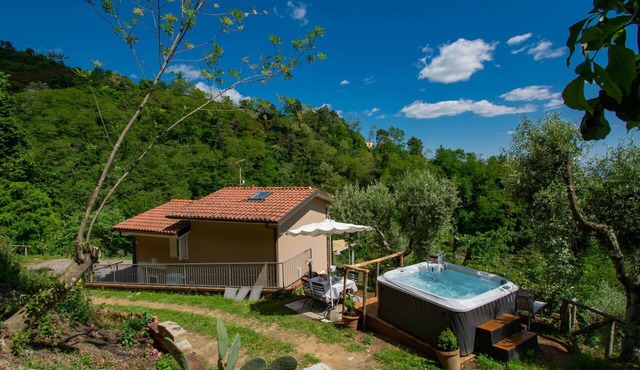 Wonderful private villa for 6 guests with private pool, WIFI, hot tub, TV, patio and pets allowed