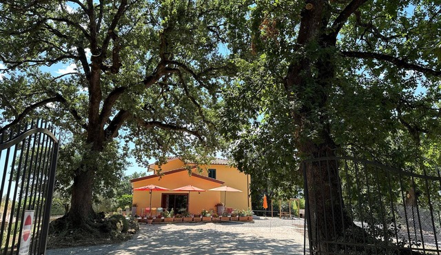 Your very own private retreat in the hills of the Maremma. Switch off, take a deep breath!