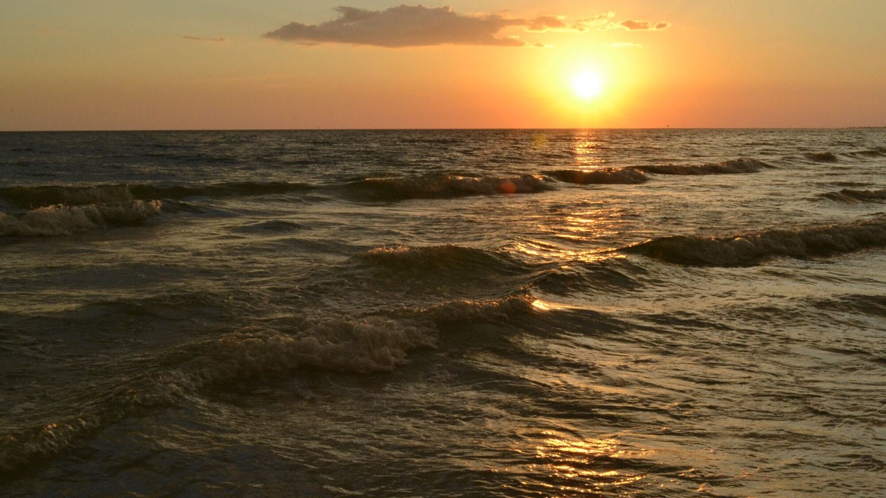 Photo of Others in Siesta Key