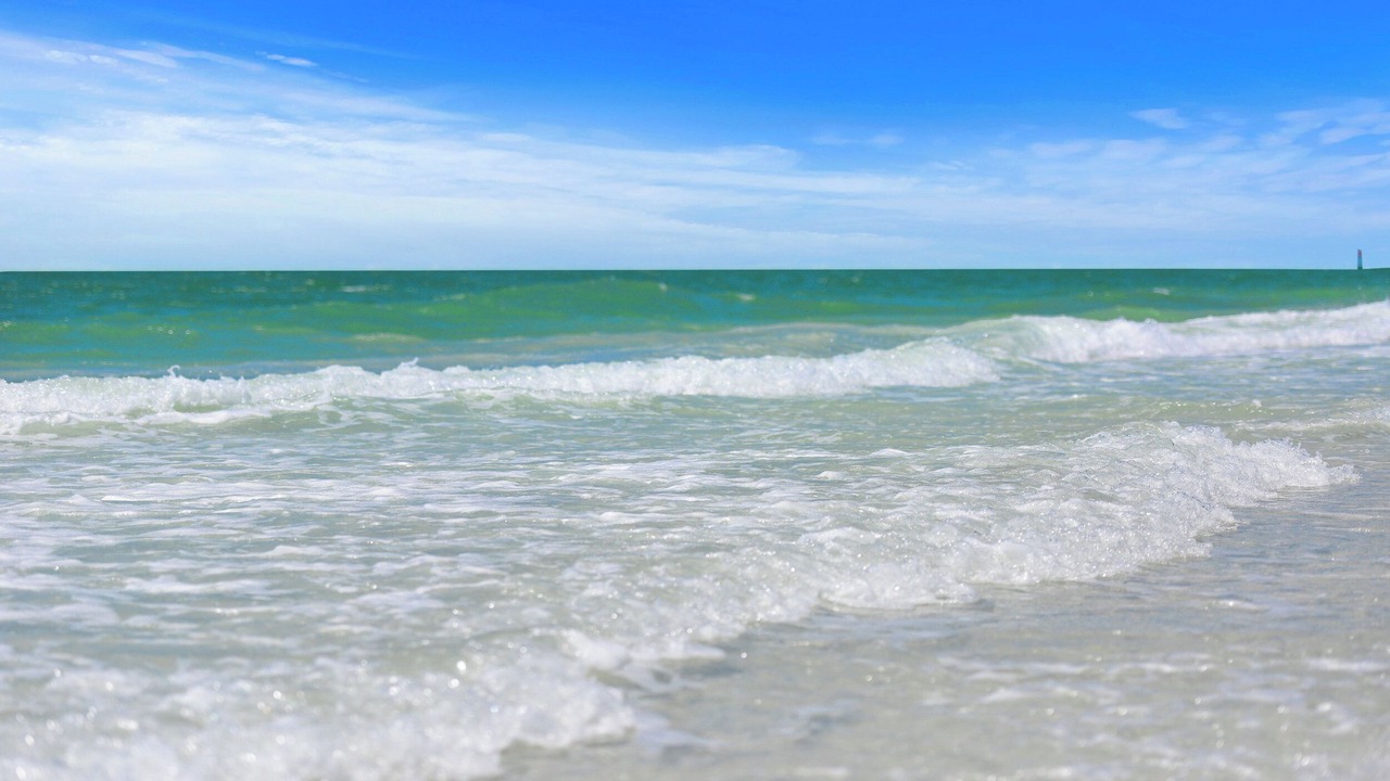 Photo of Others in Siesta Key