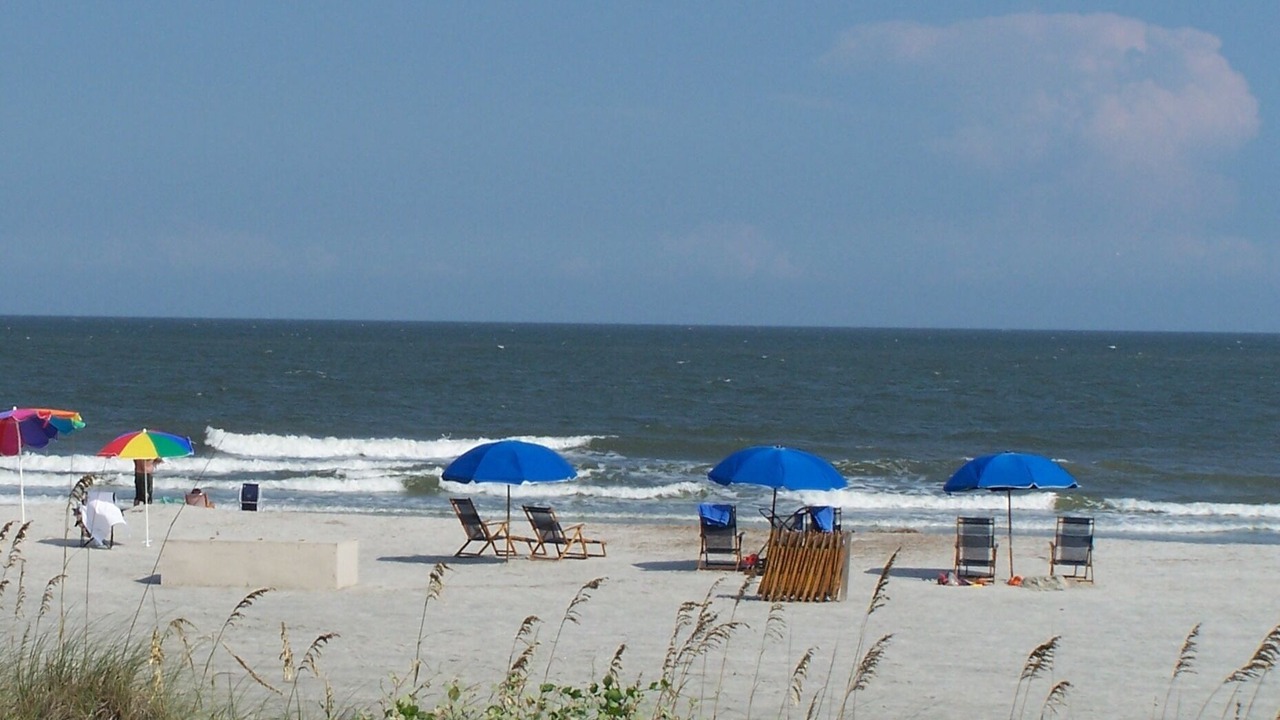 Photo of Others in Folly Field
