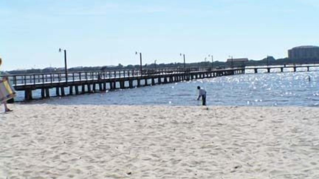 Photo of Others in Cape Coral
